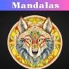 animal mandala book cover